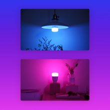 w3 color 3